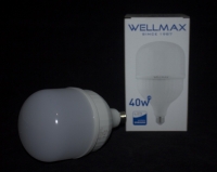 LED bulb Wellmax 50W (E27 6500K)