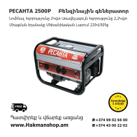 RESANTA 2500P Gasoline generator 2200 W