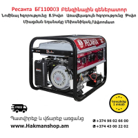 Resanta BG11000E Gasoline Generator 9000 W (Starter)