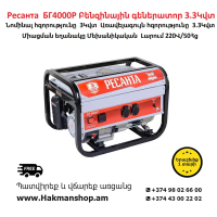 Resanta BG4000R Gasoline generator 3300 W