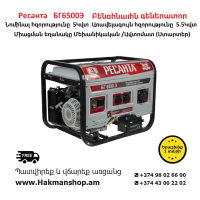 Resanta BG6500E Gasoline Generator 5500 W (Starter)