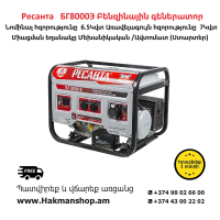 Resanta BG8000E Gasoline Generator 7000 W (Starter)