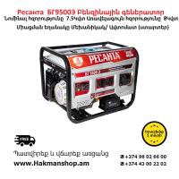 Resanta BG9500E Gasoline Generator 8000 W (Starter)