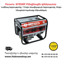 Resanta BG9500R Gasoline generator 8000 W