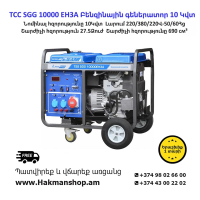 TCC SGG 10000 EH3A Gasoline Generator 10 kW